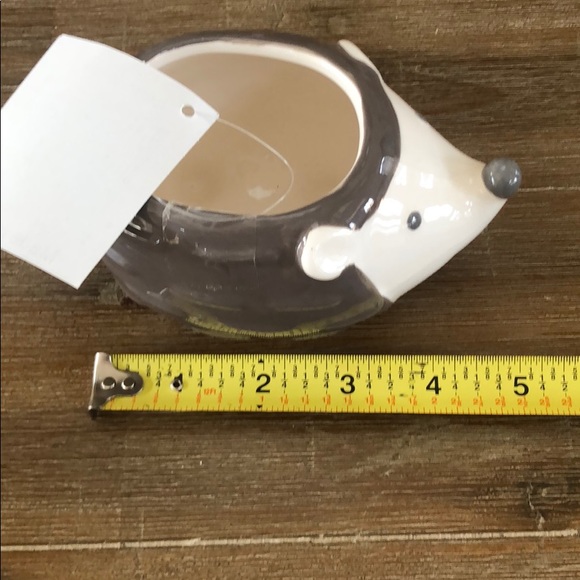 Mini planter HEDGEHOG NEW gift to hold stuff - Picture 5 of 5